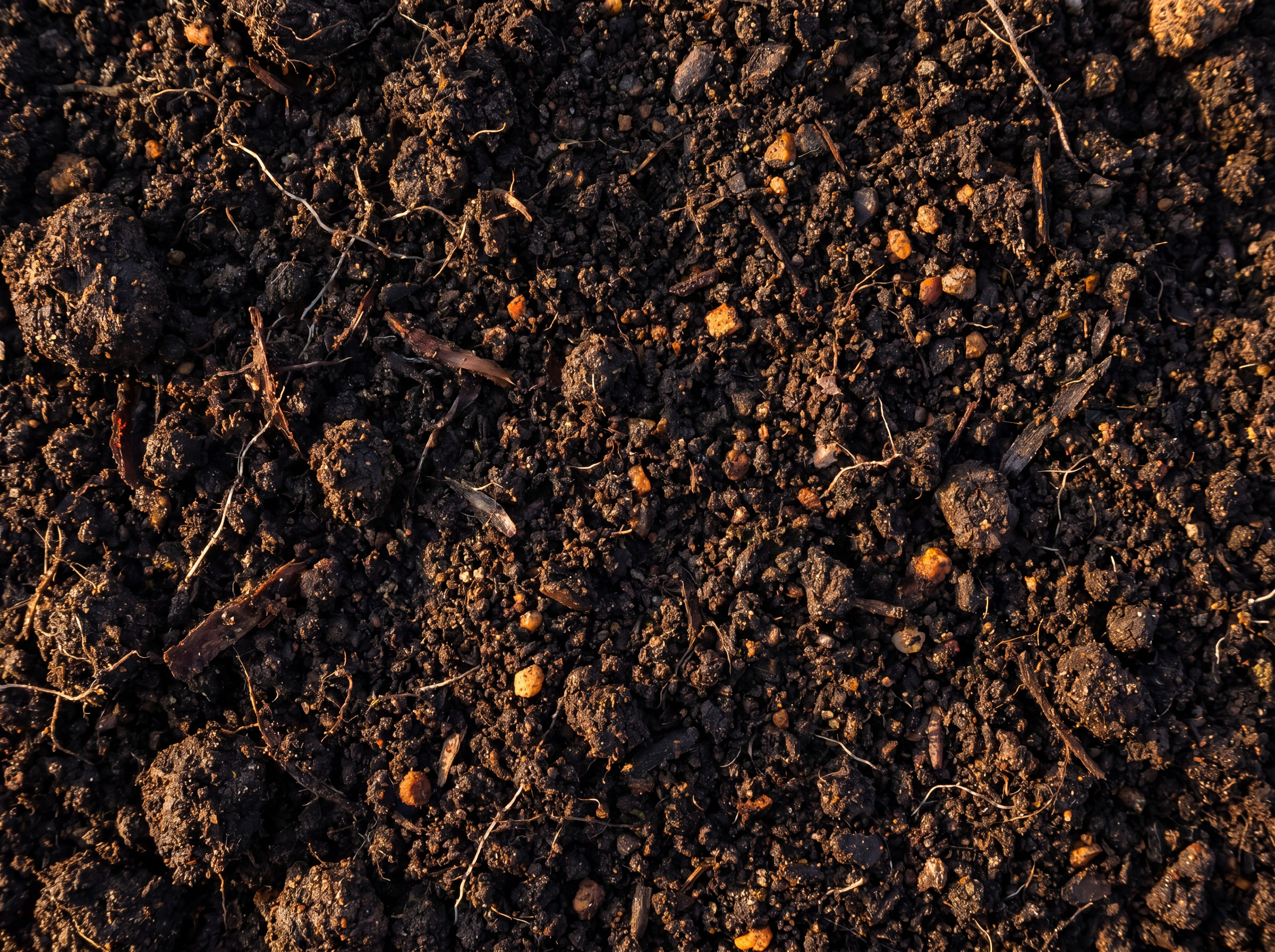 Soil carbon